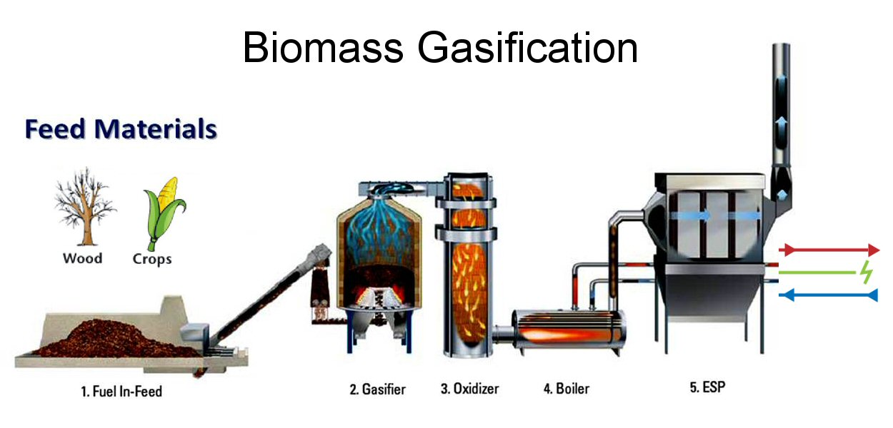 Biofuel Overview Ruaha Energy